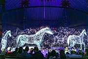 Pferde Holographie Circus Roncalli München 2019 - "Storyteller: Gestern, heute, morgen" Gastspiel am Leonrodplatz vom 12.10.-12.11.2019